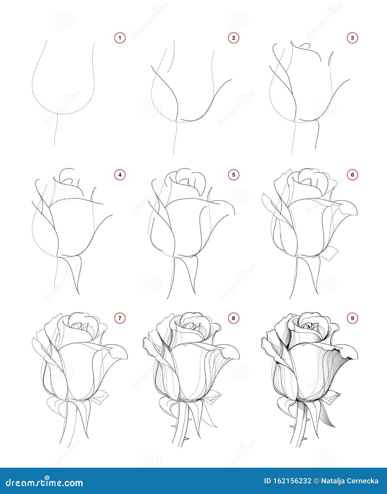 Featured image of post How To Draw A Rose With Pencil Step By Step : With this lesson, you will be able to create a realistic image out of the use of pencil.