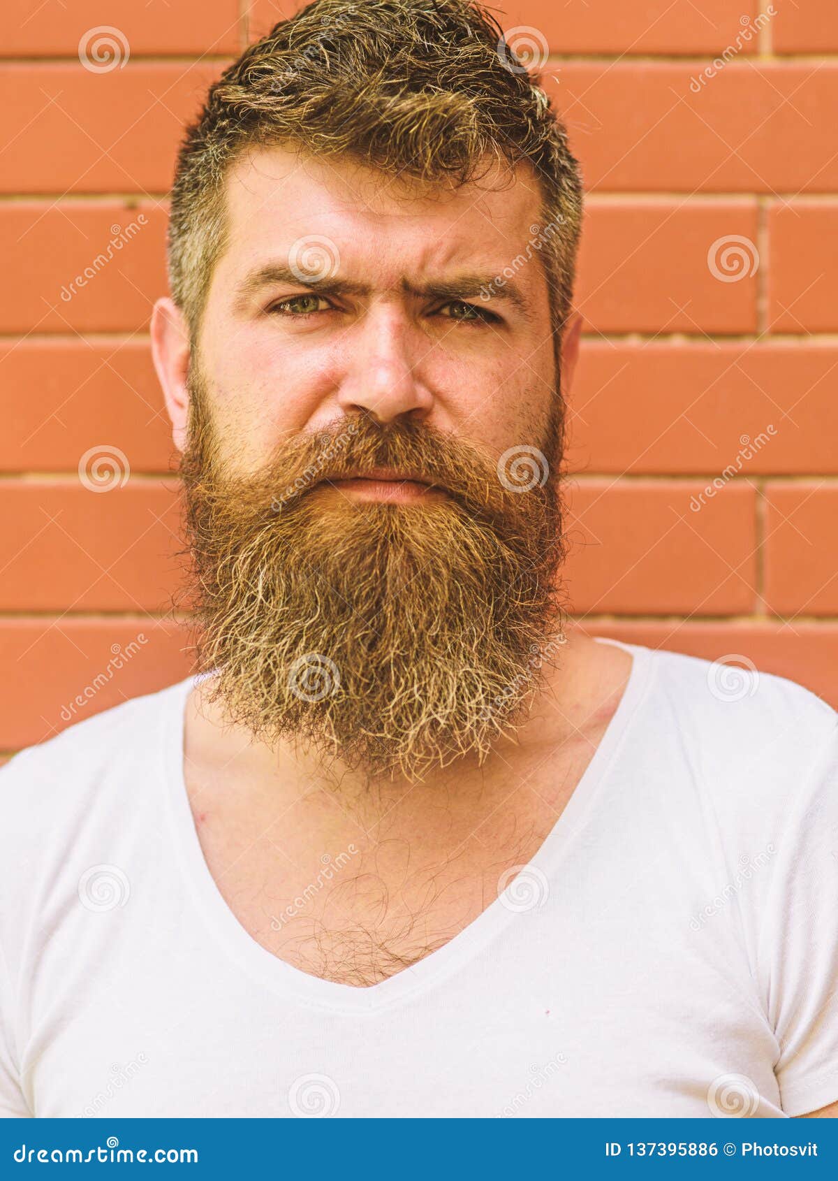 How To Grow Great Beard. Beard Grooming Has Never Been so Easy Stock Photo  - Image of handsome, grooming: 137395886