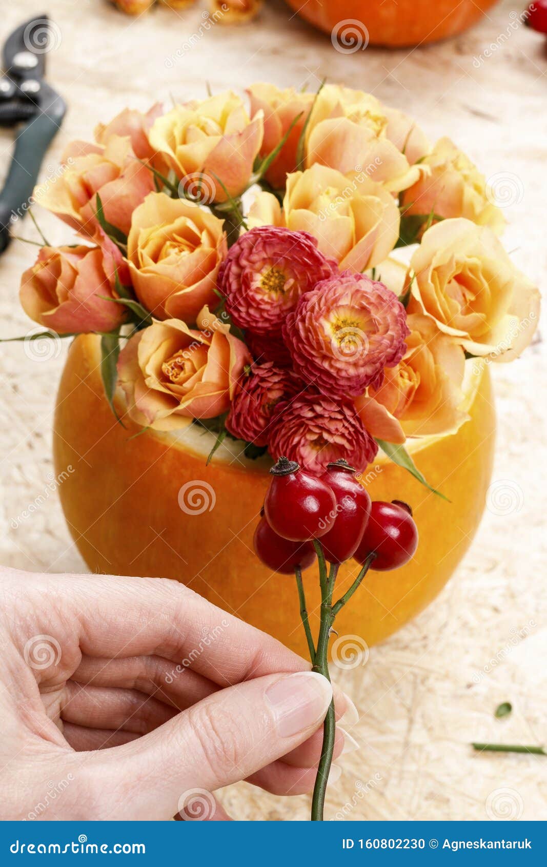How To Make a Floral Arrangement Inside the Pumpkin Tutorial Stock