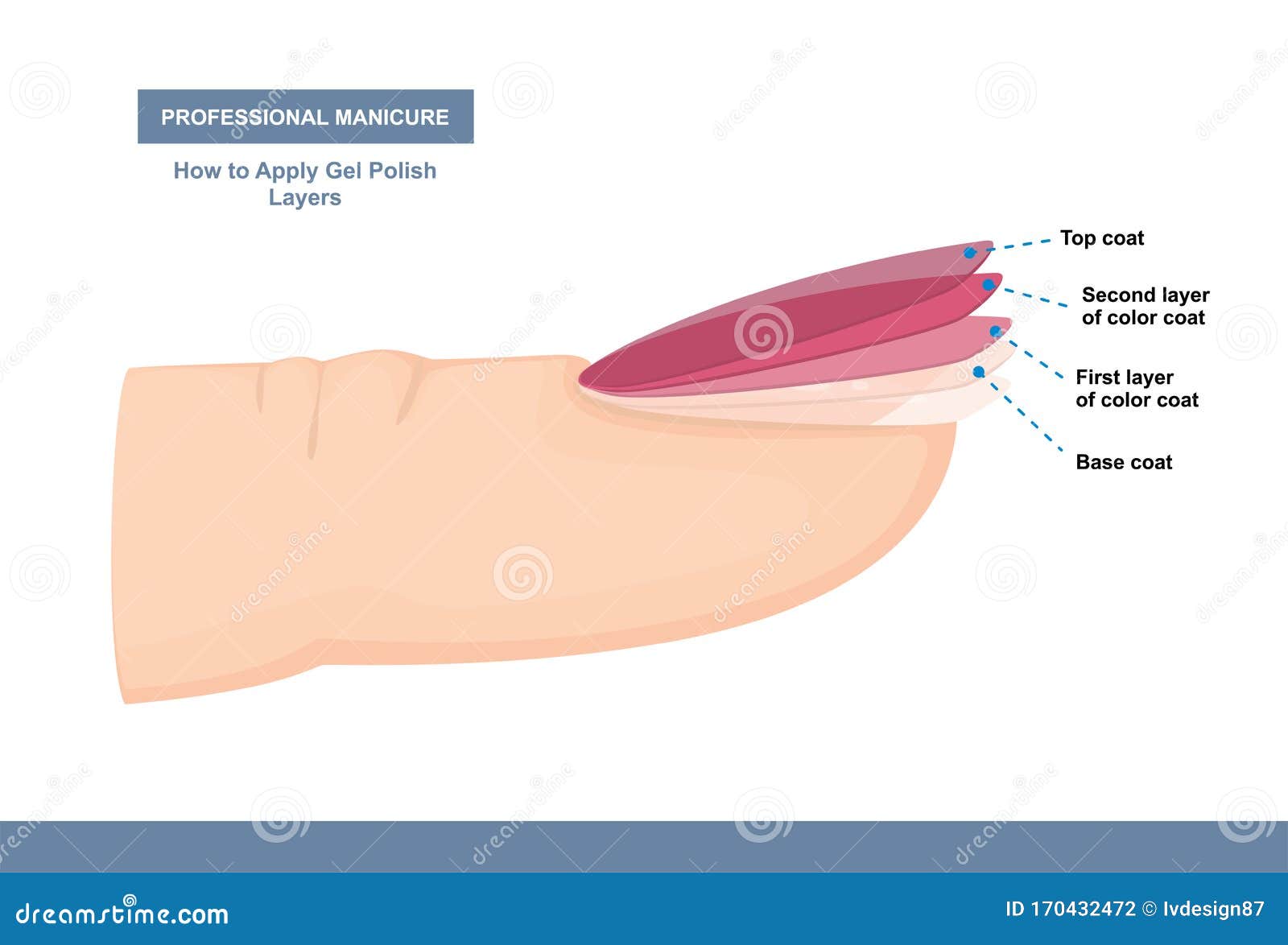 how to properly apply gel polish. layers. professional manicure tutorial. 