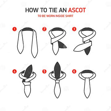 How to Tie an Ascot stock vector. Illustration of businessman - 63917260