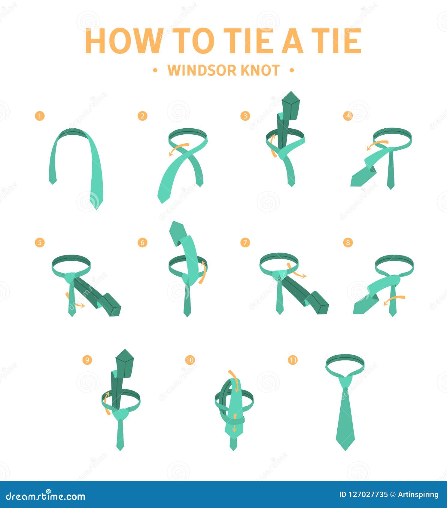 How To Tie a Windsor Knot Tie Instruction. Stock Vector - Illustration ...