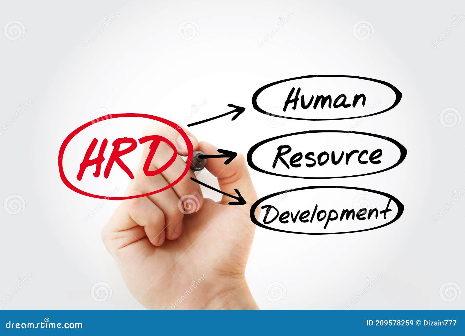 HRD Human Resource Development Acronym Stock Illustration