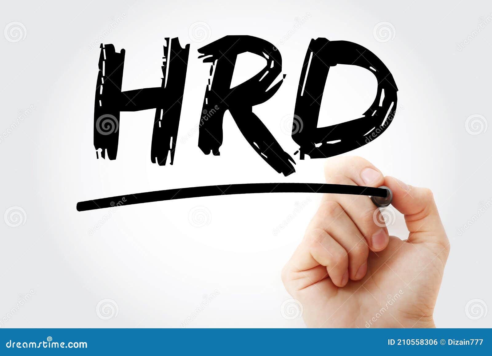 HRD Human Resource Development Acronym with Marker, Business Concept