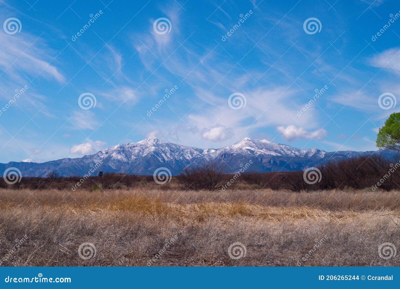 527 huachuca mountains snow tops