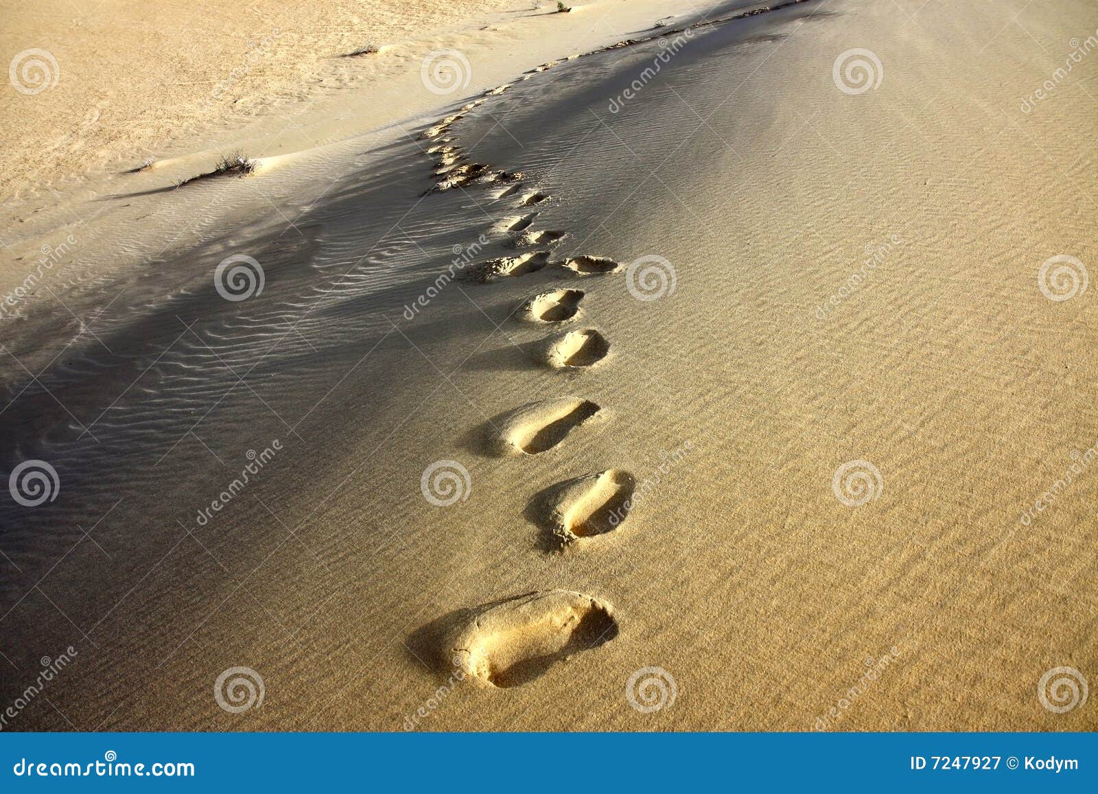 Detalle de la huella en la arena del desierto de Sáhara