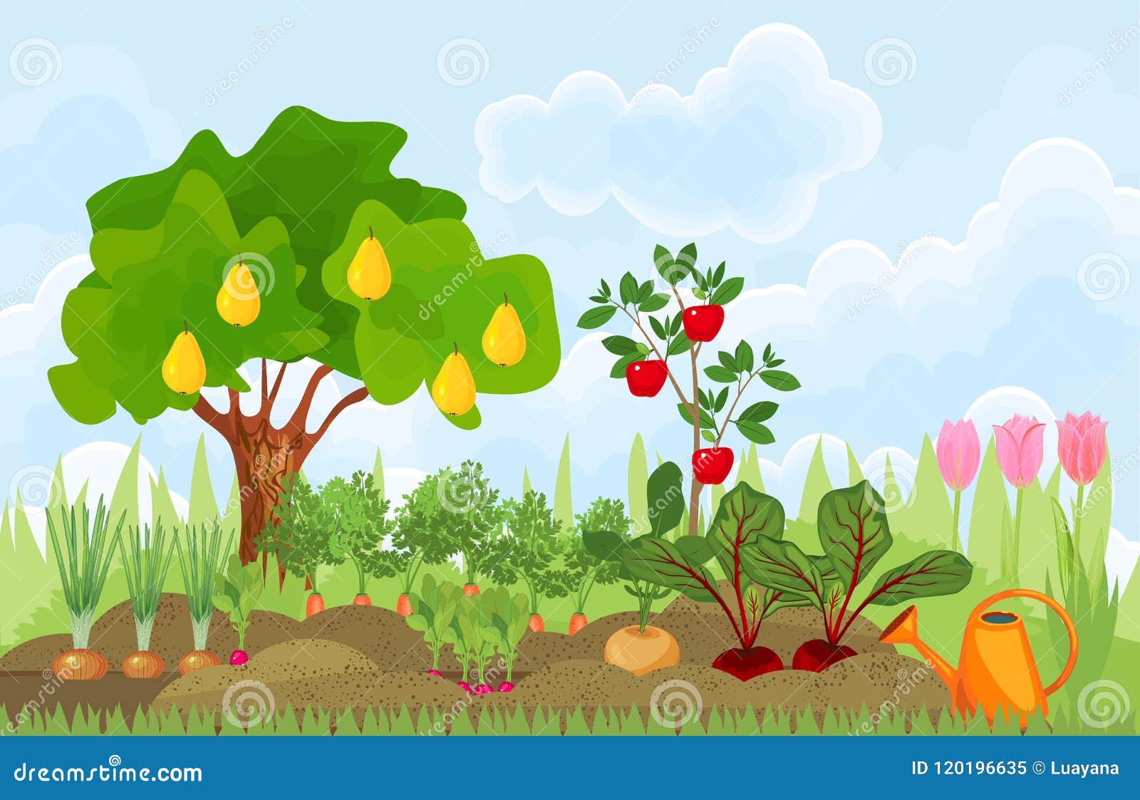 Huerto O Huerto Con Las Diversos Verduras, árboles Frutales Y Tulipanes  Ilustración del Vector - Ilustración de diferente, remolachas: 120196635