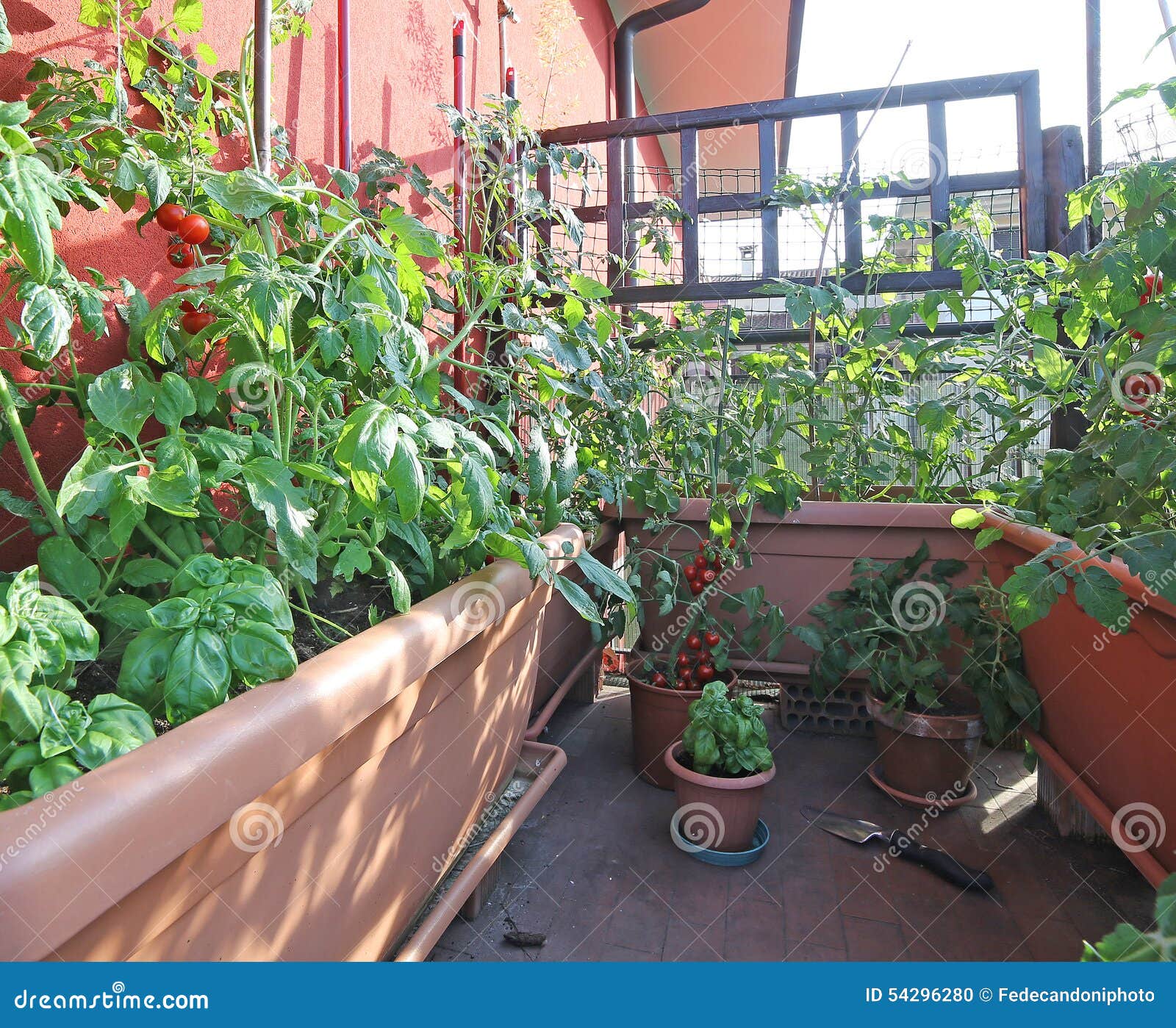 Huerto Urbano Con Los Potes Grandes En La Terraza Foto de archivo - Imagen  de alimento, crisol: 54296280