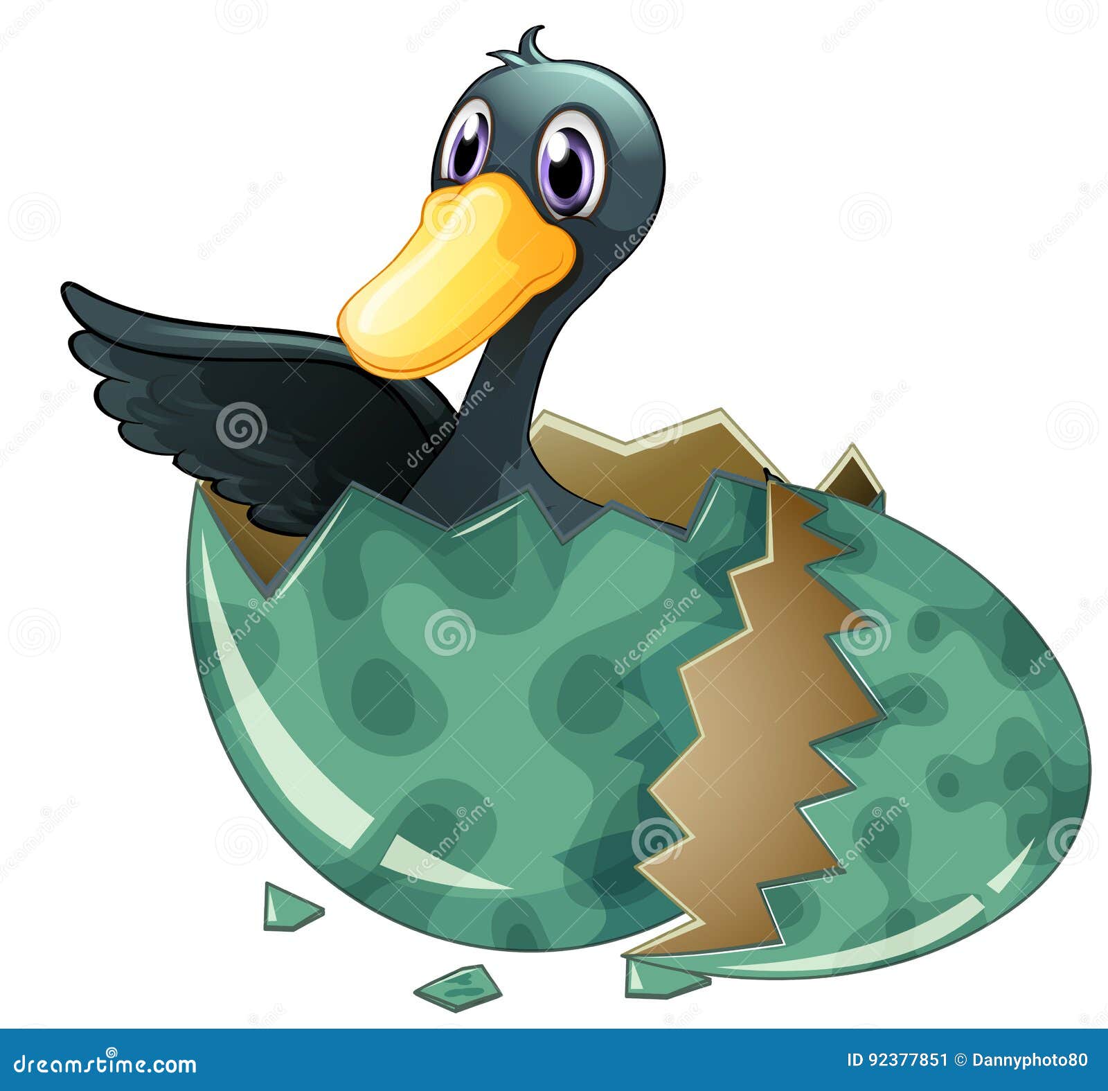 Huevo Para Incubar Del Pato Negro Ilustración del Vector - Ilustración de pato, cuadro: 92377851 Huevo Para Incubar Del Pato Negro Ilustración del Vector - Ilustración de pato, cuadro: 92377851