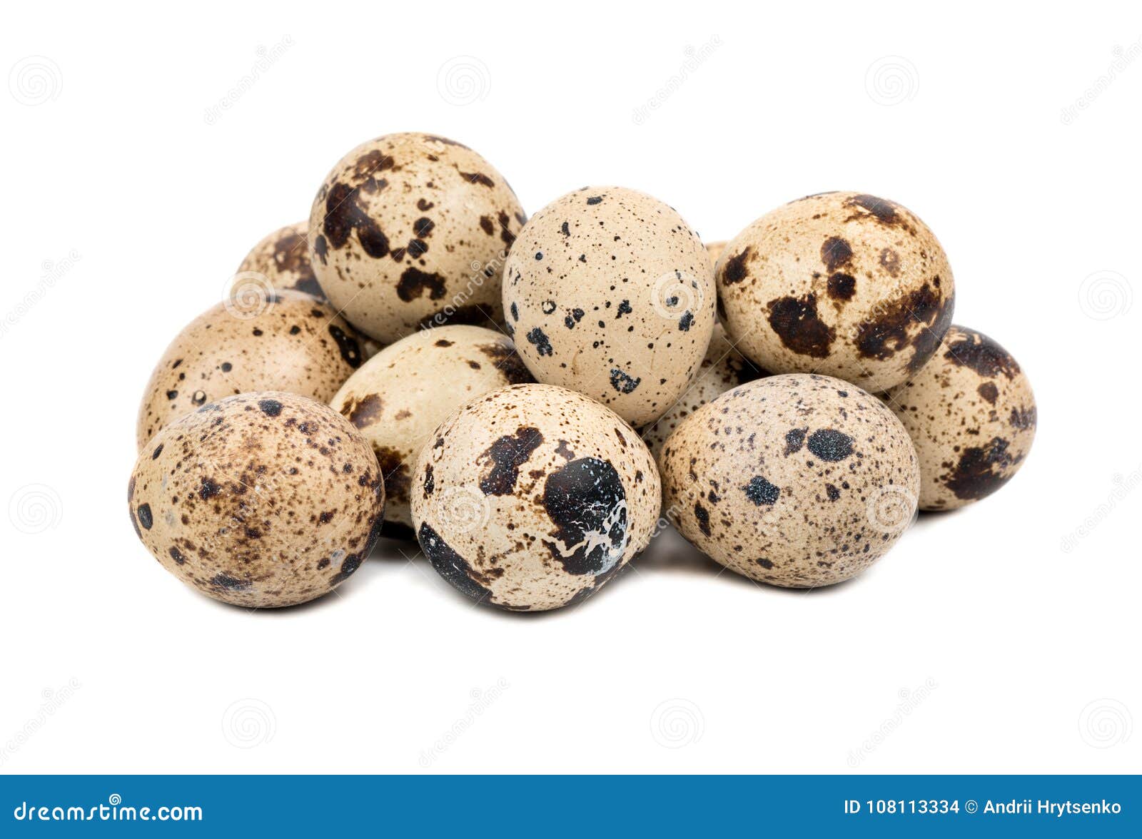 Huevos de codornices foto de archivo. Imagen de perdiz 108113334