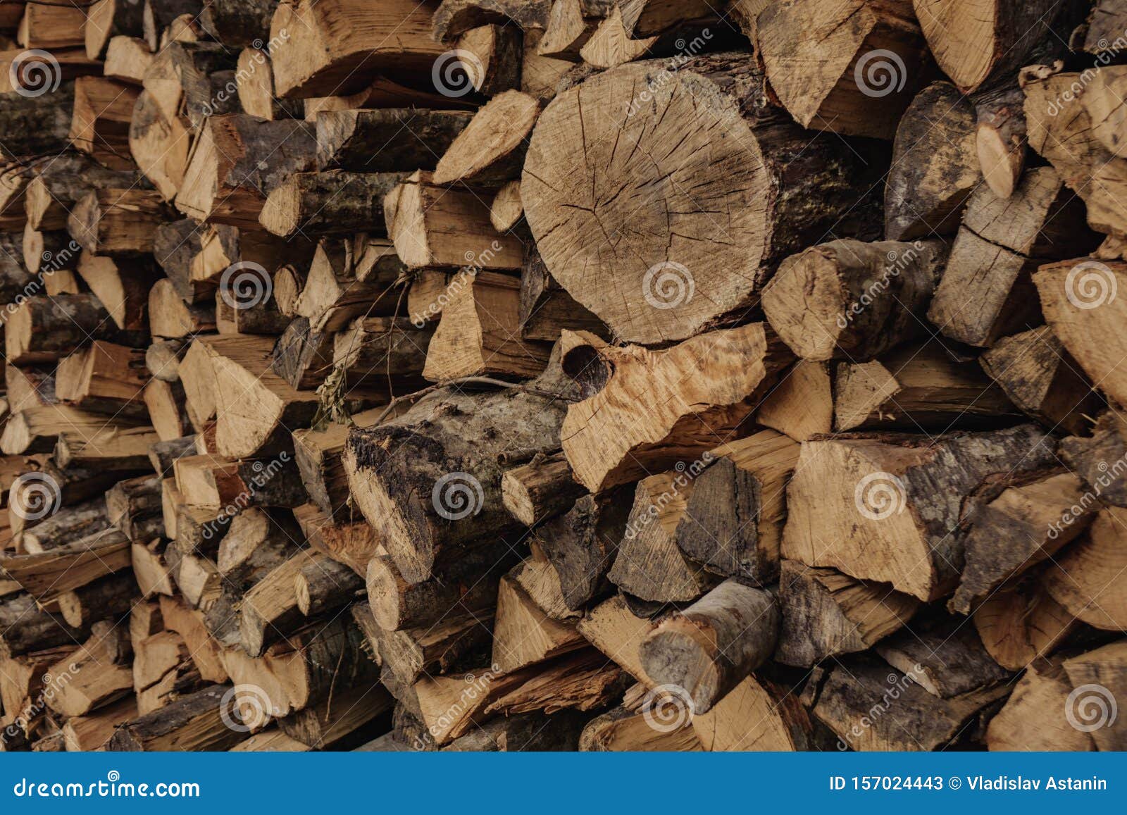 A Huge Amount of Wood for Ignition Stock Image Image of pile, natural