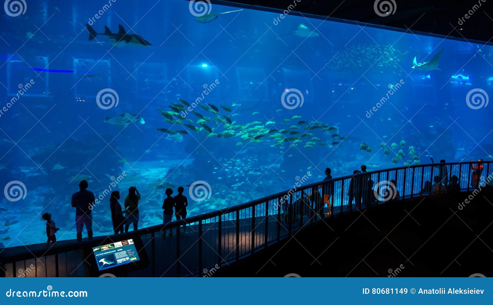 Huge Aquarium in Singapore, with Its Inhabitants and Visitors Sihouettes  Editorial Stock Image - Image of garden, sihouettes: 80681149