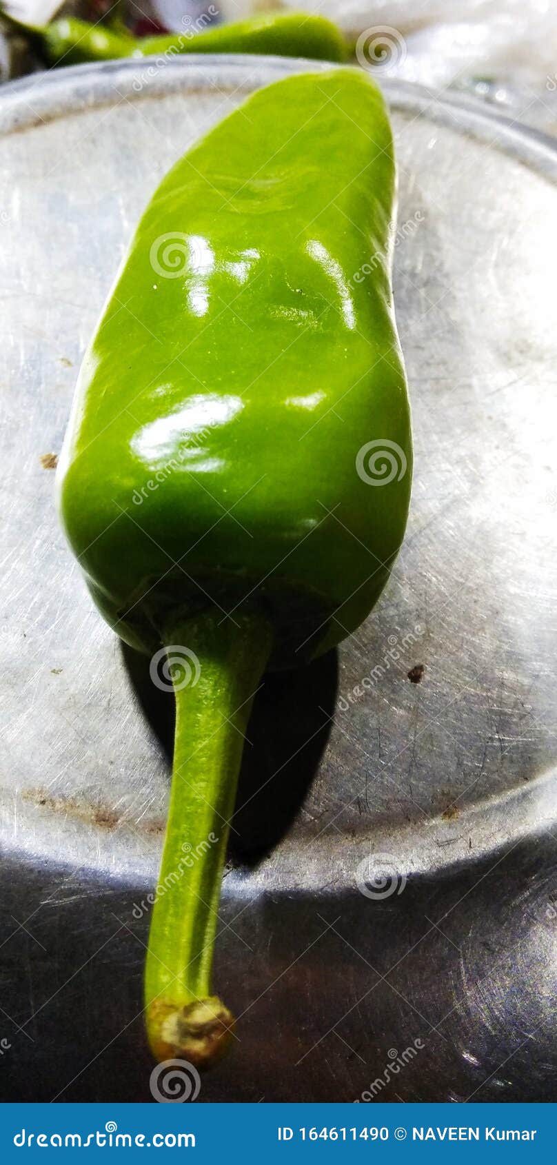 Huge Big Size Green Chili In India Stock Photo Image of huge, size