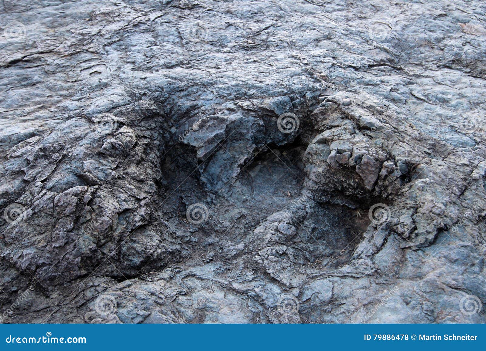 huge dinosaur footprints, maragua, bolivia