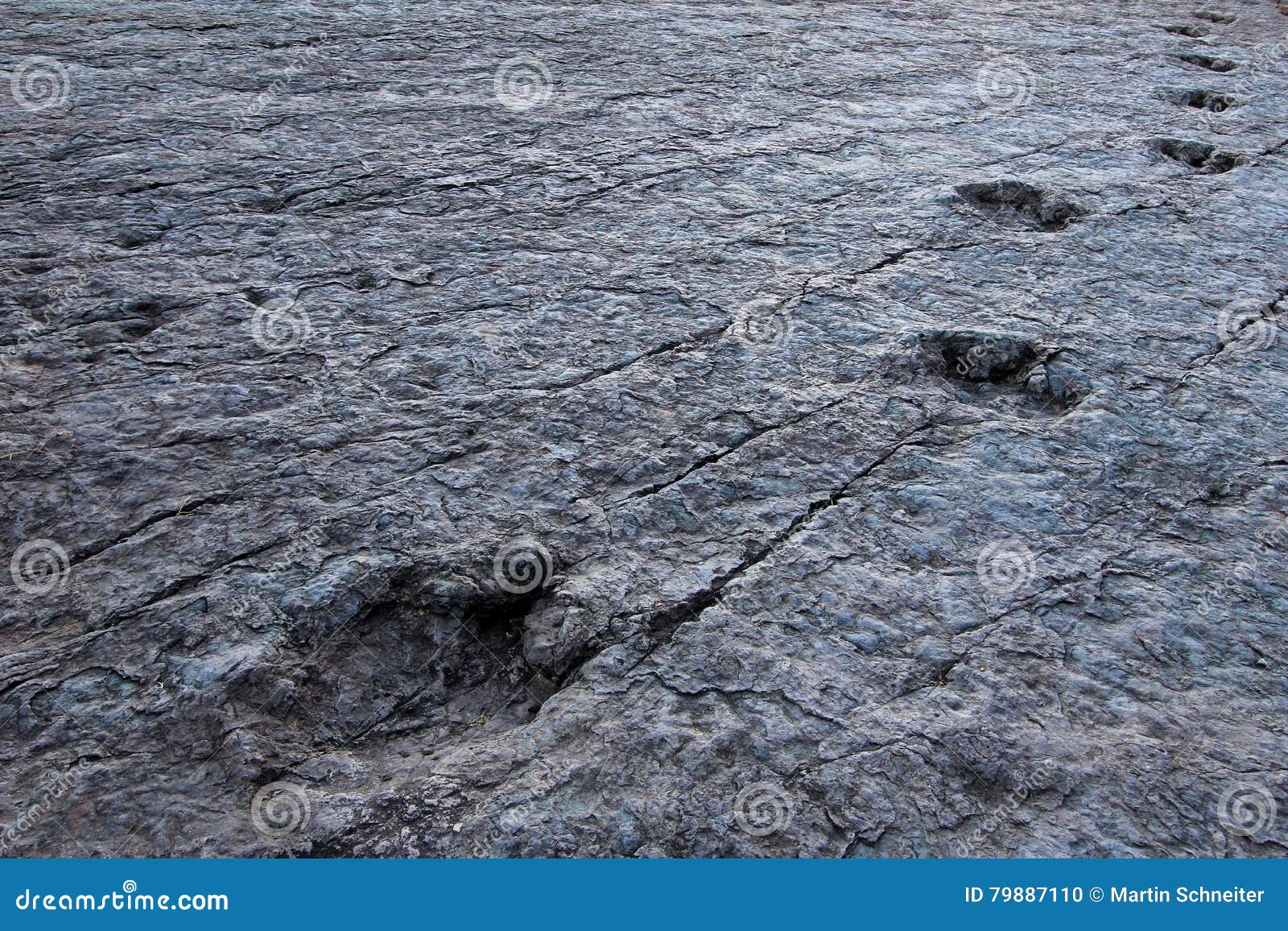 huge dinosaur footprints, maragua, bolivia