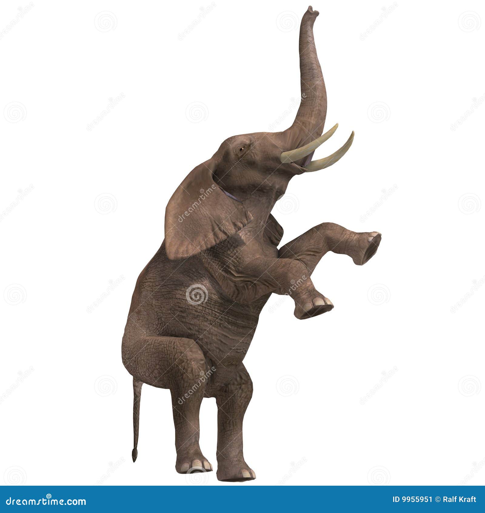 elephant trumpeting clipart - photo #7