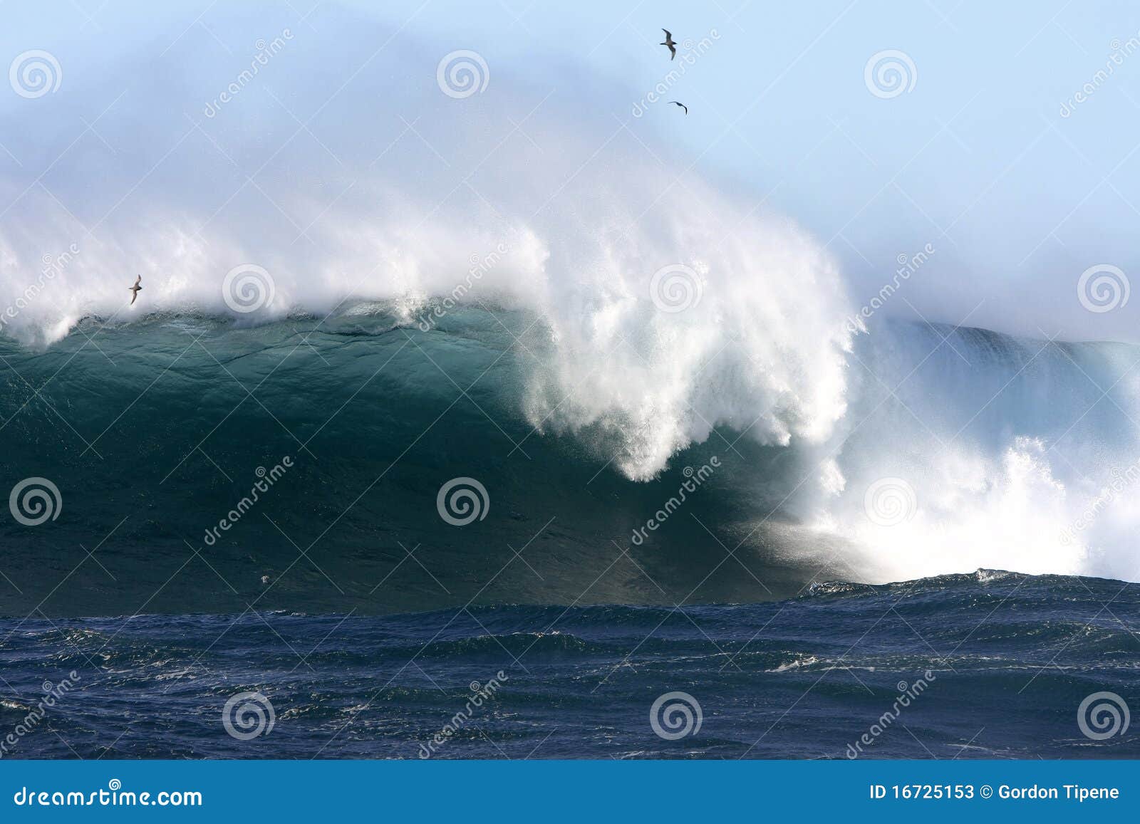 Huge Surf at Cape Banks, Sydney, Australia. Stock Image Image of