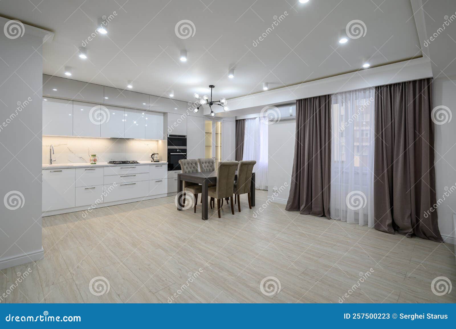 Huge White Luxury Kitchen in a Studio Apartment Interior Stock Image - Image of design, counter ...