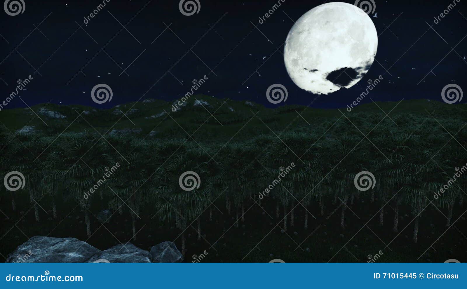 plantation pleine lune