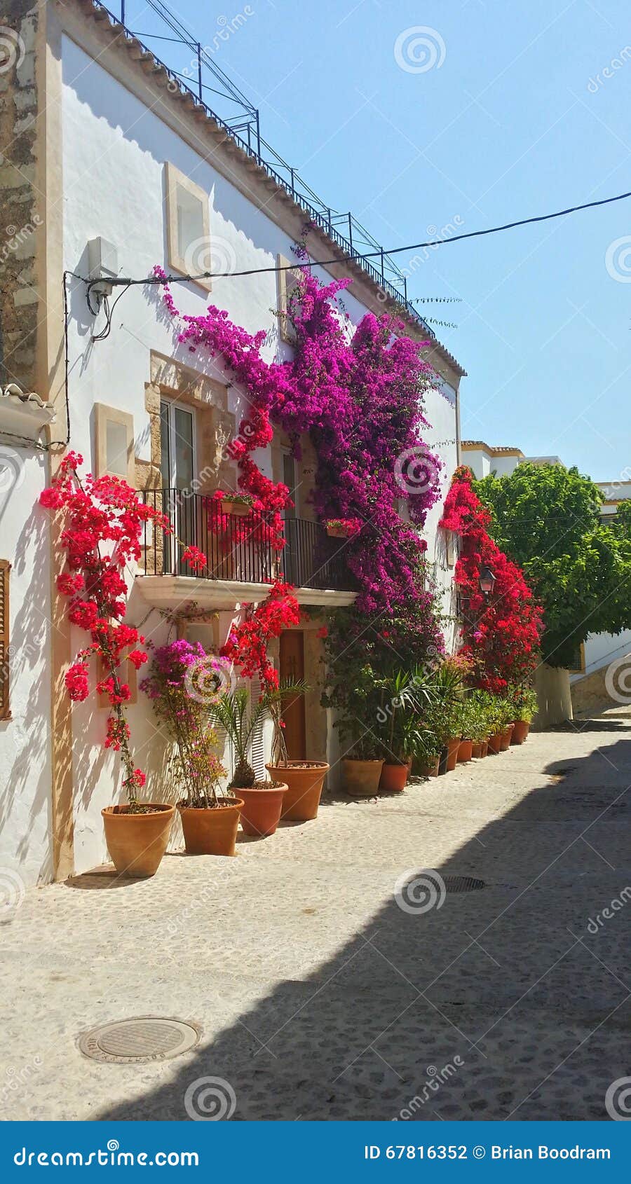 datum Dankbaar De stad Huizen Met Bloemen in Ibiza, Spanje Worden Verfraaid Dat Stock Foto - Image  of ibiza, spanje: 67816352