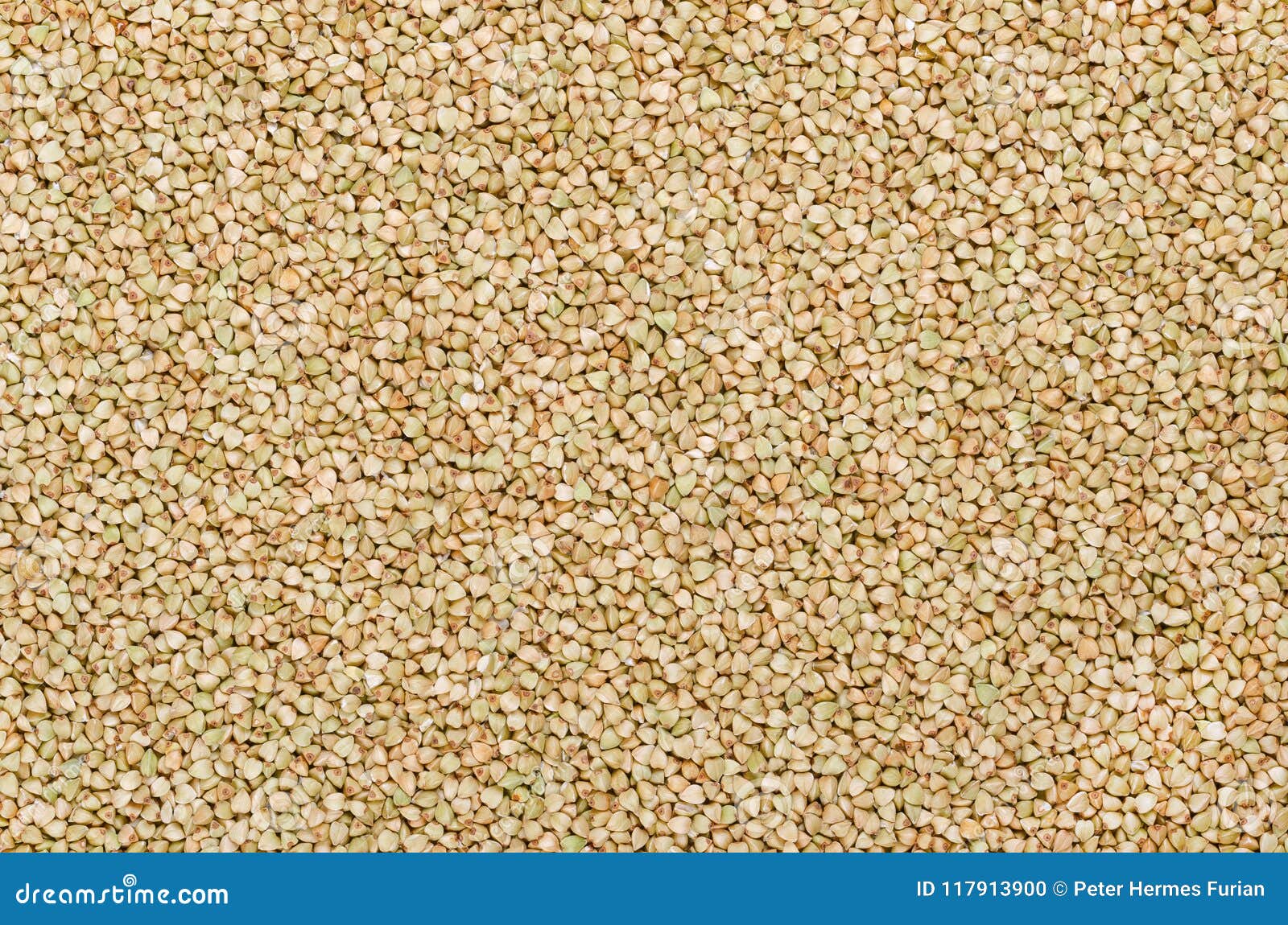 Common Buckwheat Seeds With Hulls In Wooden Bowl Stock Image