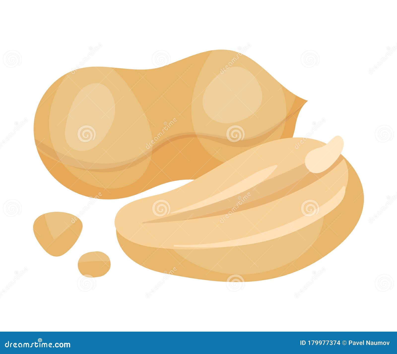 Hulled Peanut Kernel Isolated on White Background Vector Illustration
