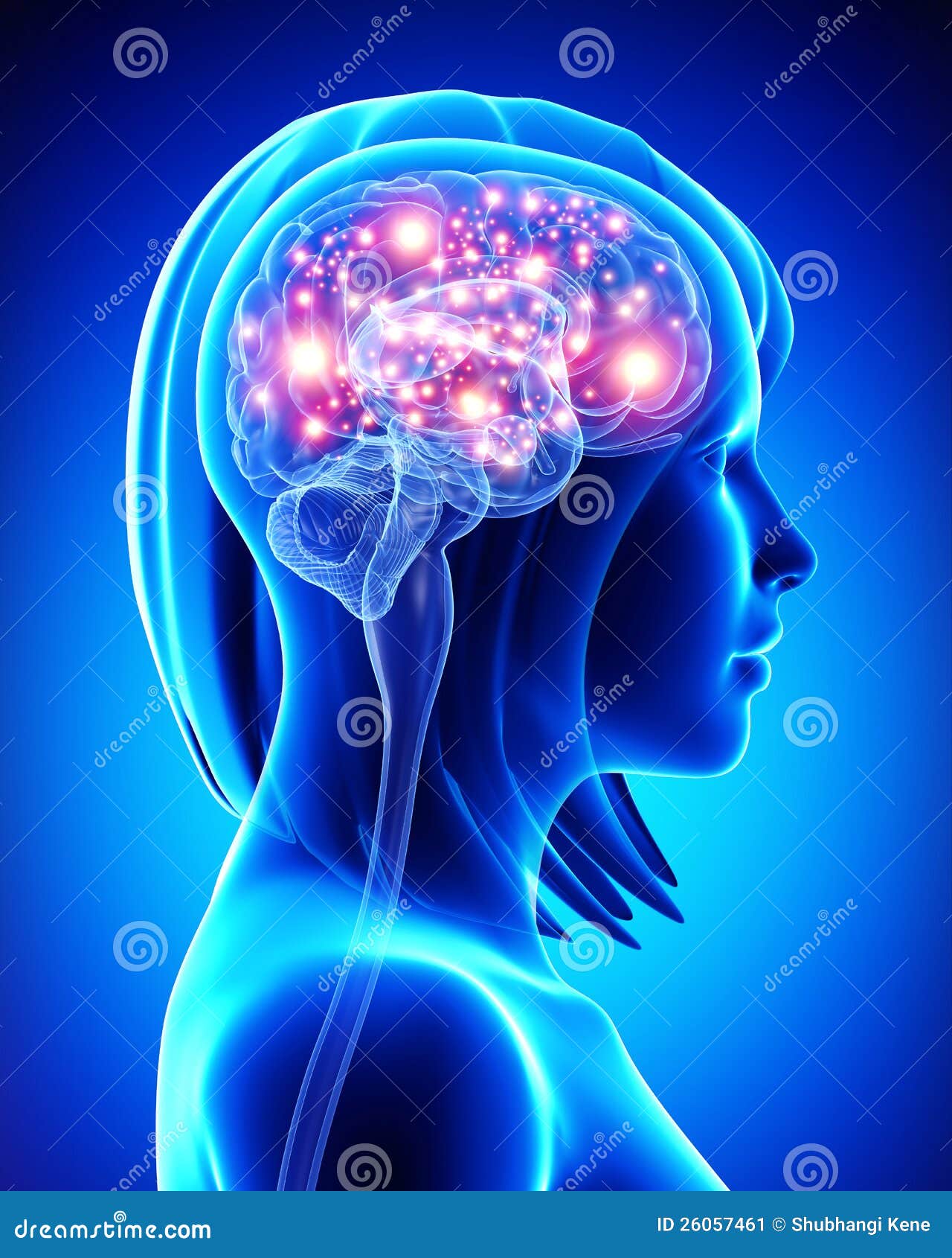 Human active brain stock illustration. Image of medicine - 26057461