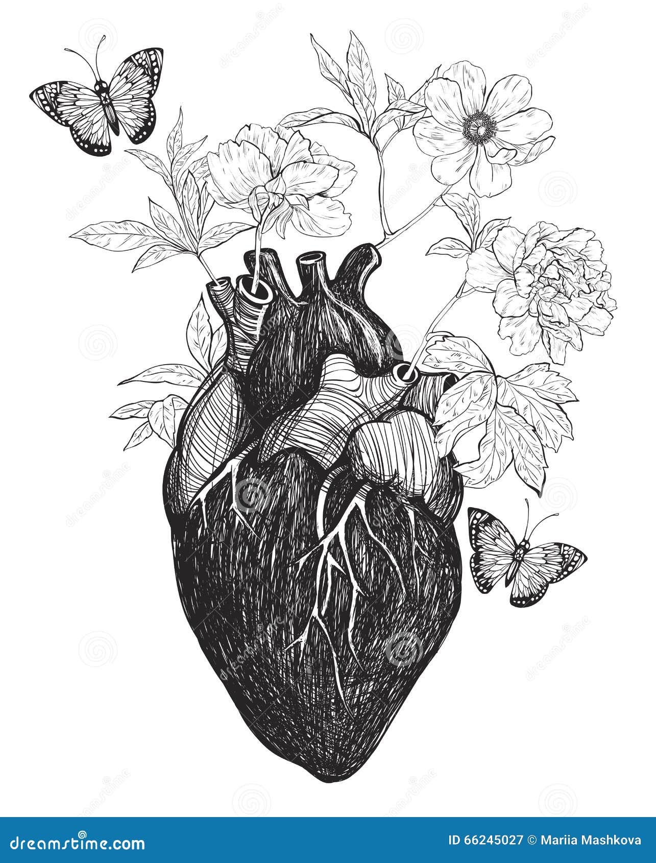 human anatomical heart whith flowers.