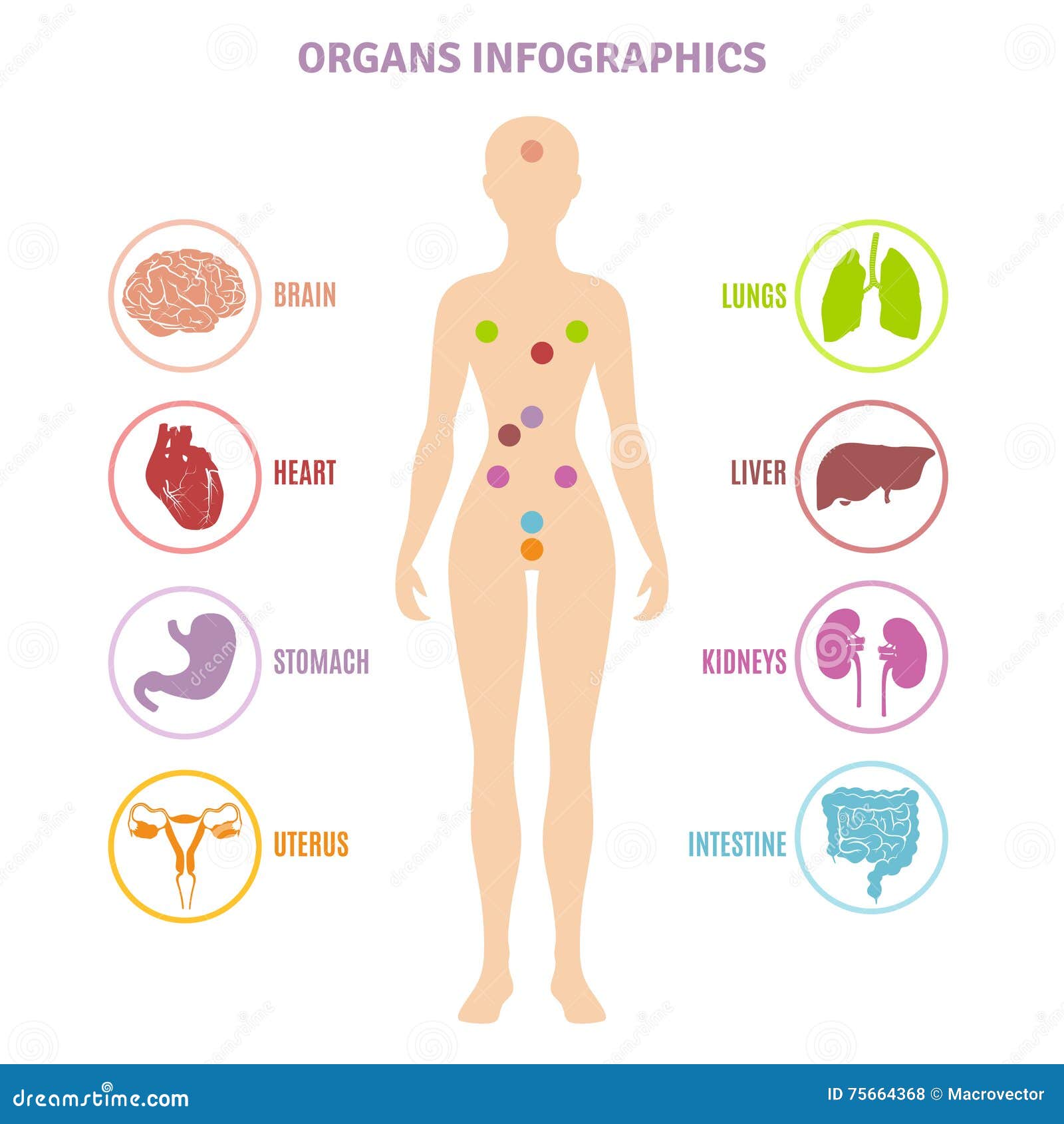 human anatomy clipart free - photo #18