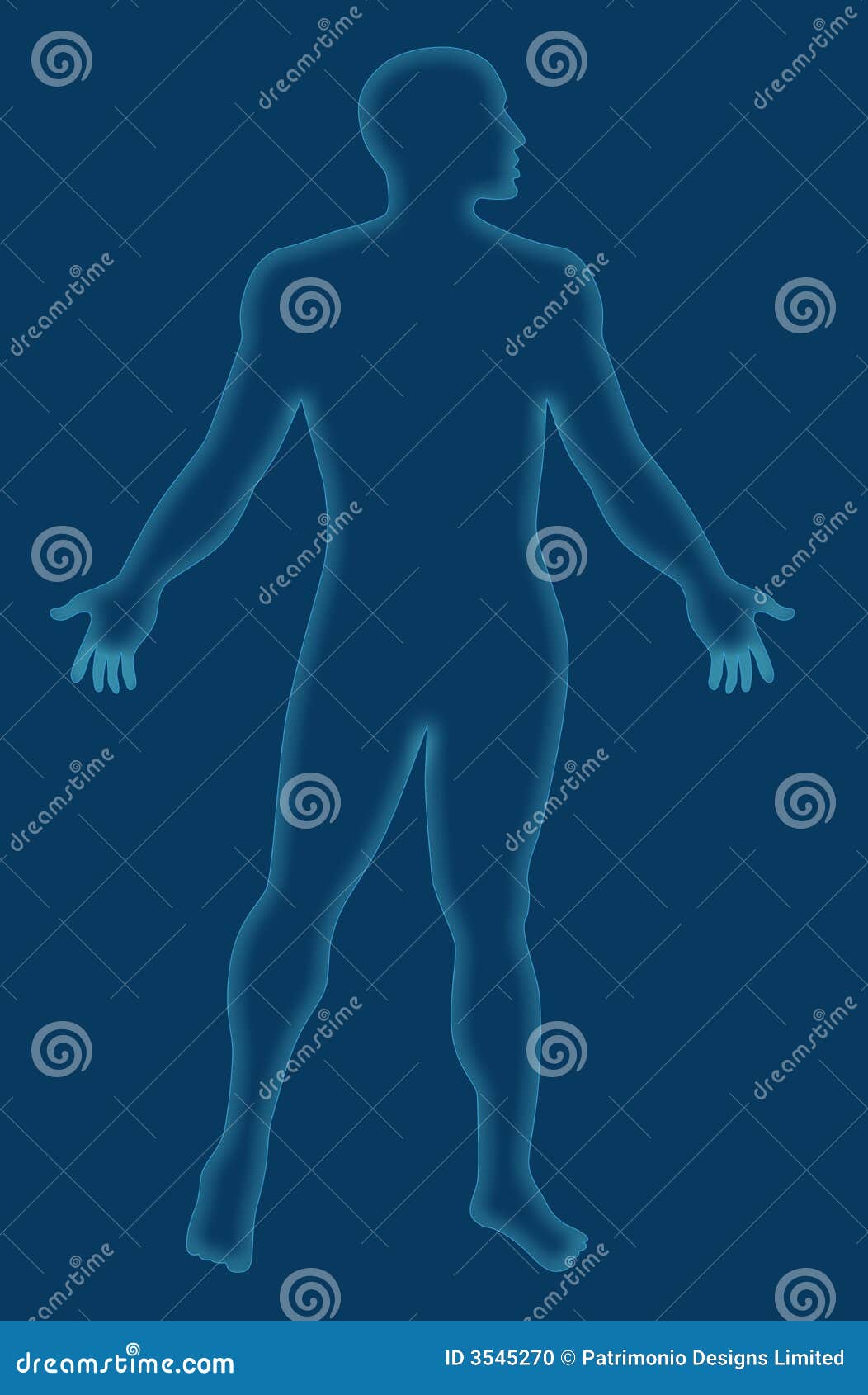Human anatomy xray style stock illustration. Illustration of
