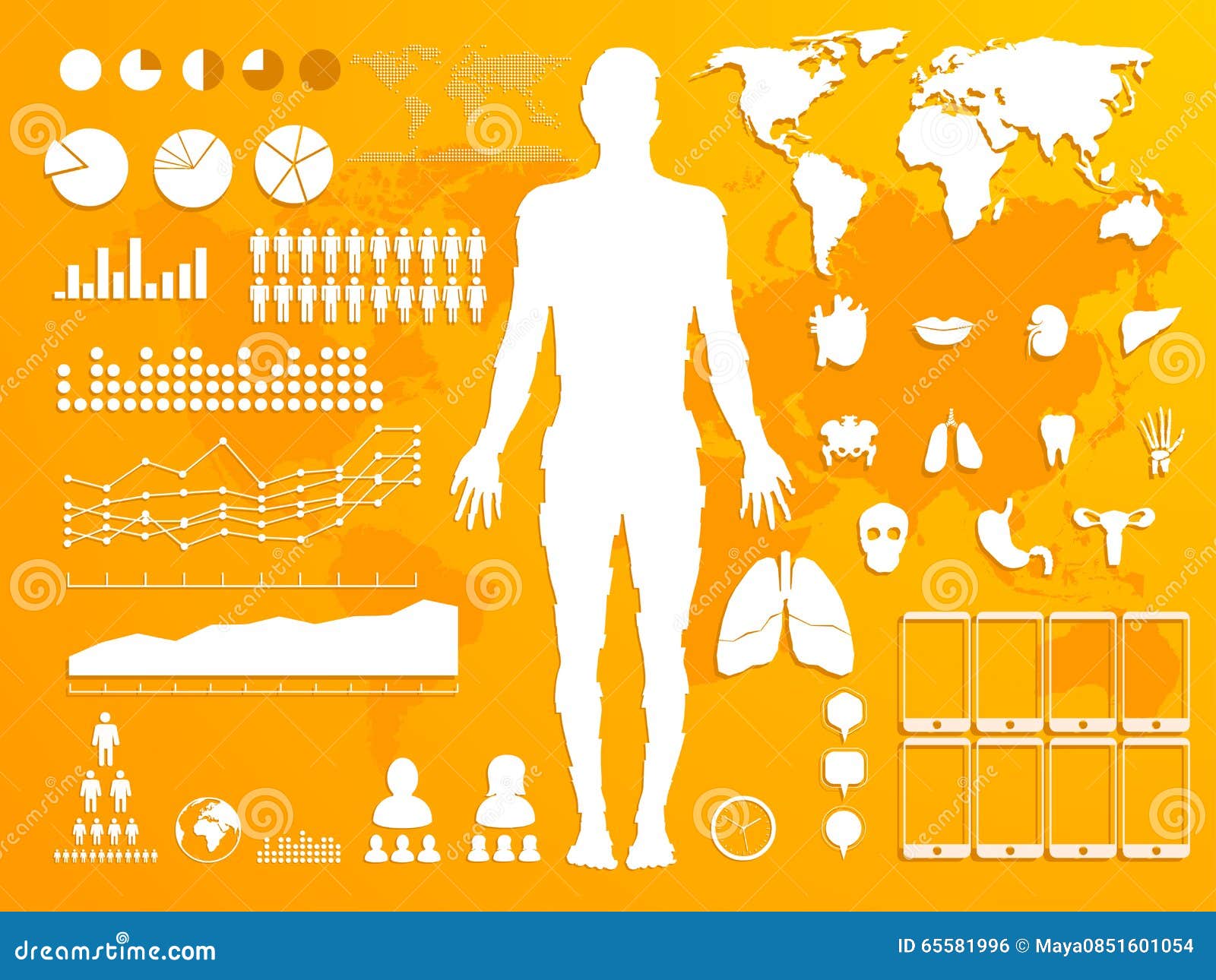 Human anatomy stock illustration. Illustration of decor Biology Diagrams