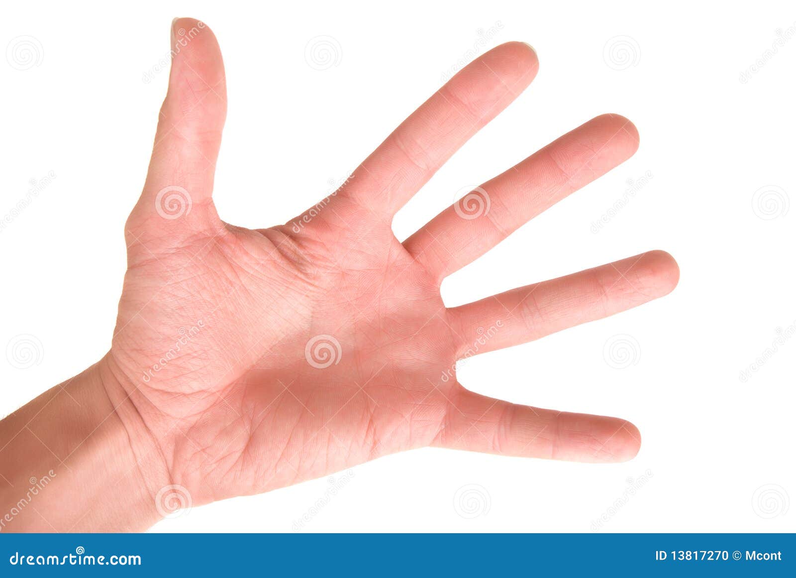Human arm stock photo. Image of hand, palm, showing, pushing - 13817270