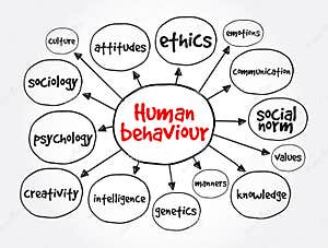 Human Behaviour Mind Map Concept For Presentations And Reports Royalty 