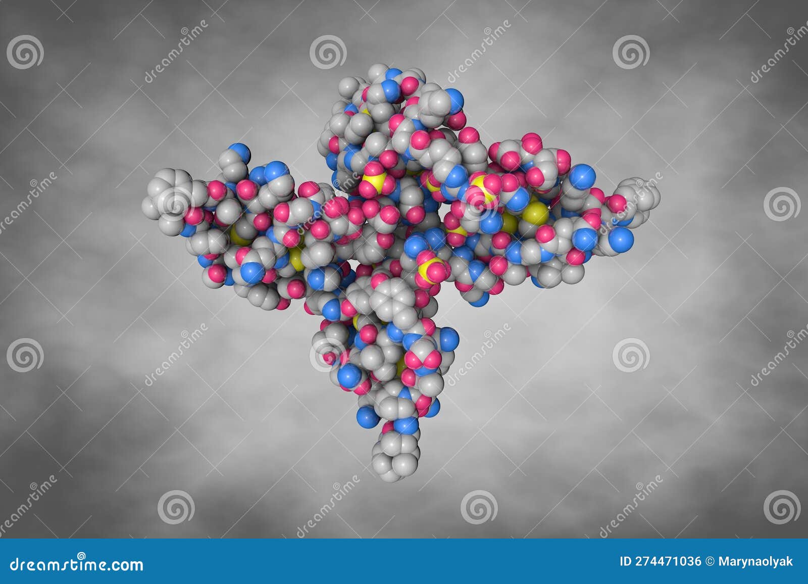 human beta-defensin-1. space-filling molecular model on gray background. scientific background. 3d 