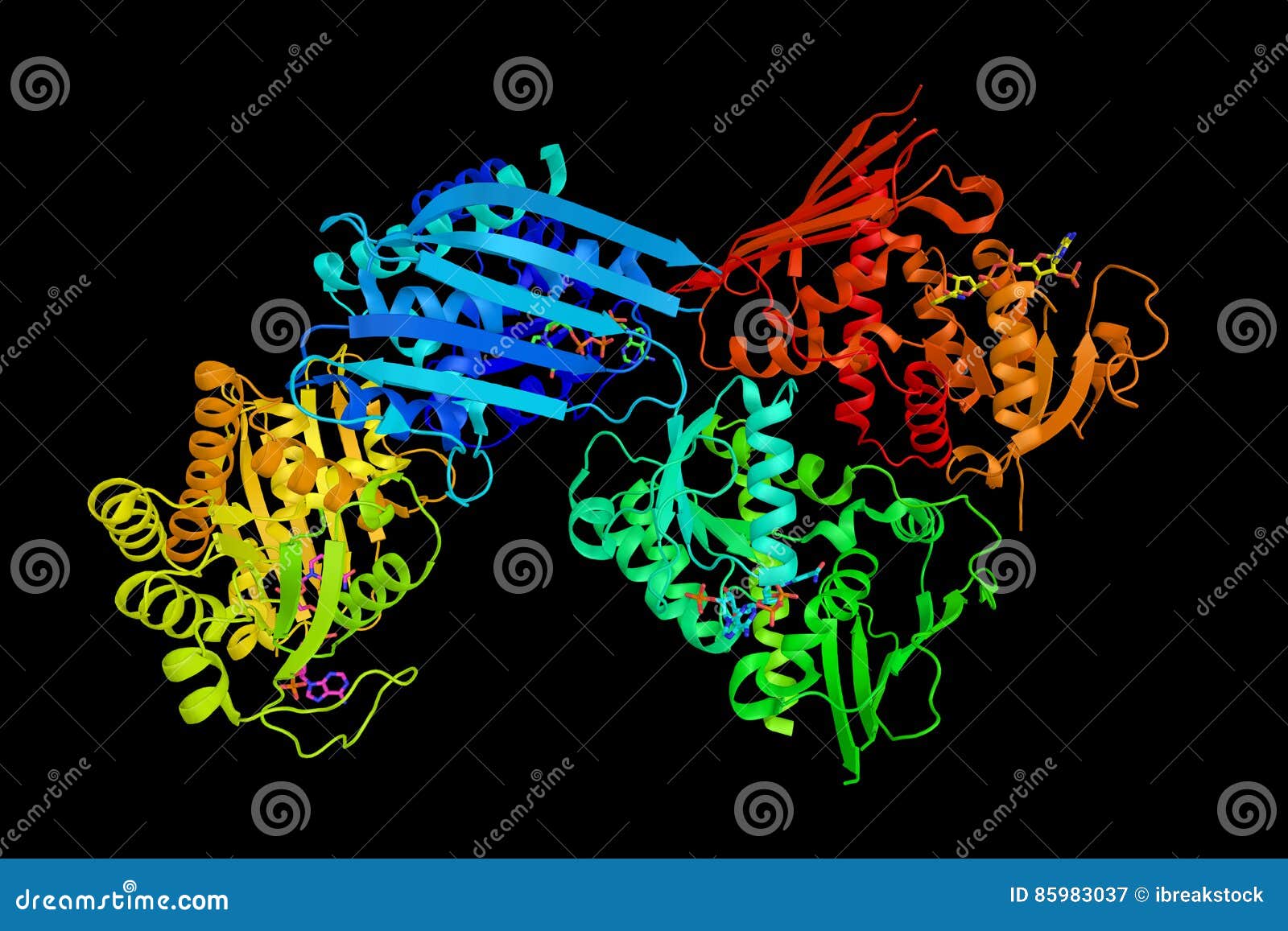 Human biliverdin reductase A, an isozyme of Biliverdin reductase