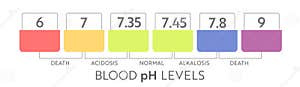 Human Blood Ph Range Stock Vector Illustration Of Measure 227923941