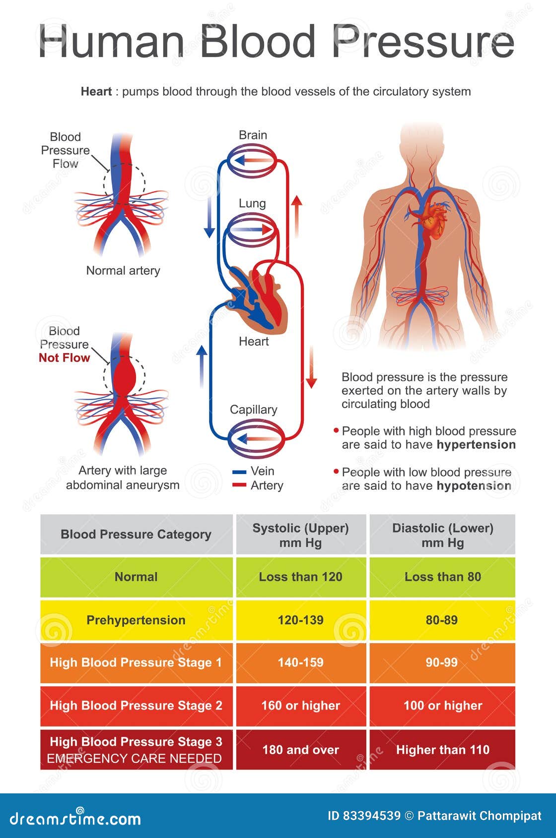 blood pressure bp is the pressure of circulating blood.