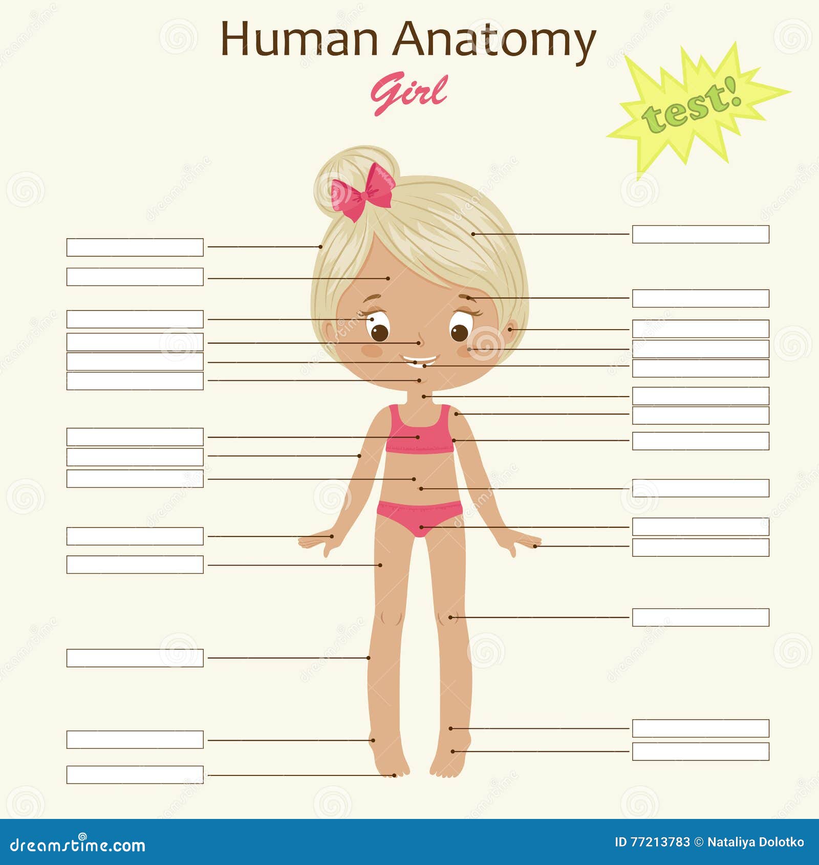 Blank Anatomy Female Figure - Front View Royalty-Free Stock Photo