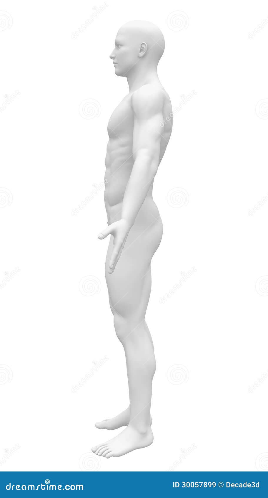 blank anatomy figure - side view