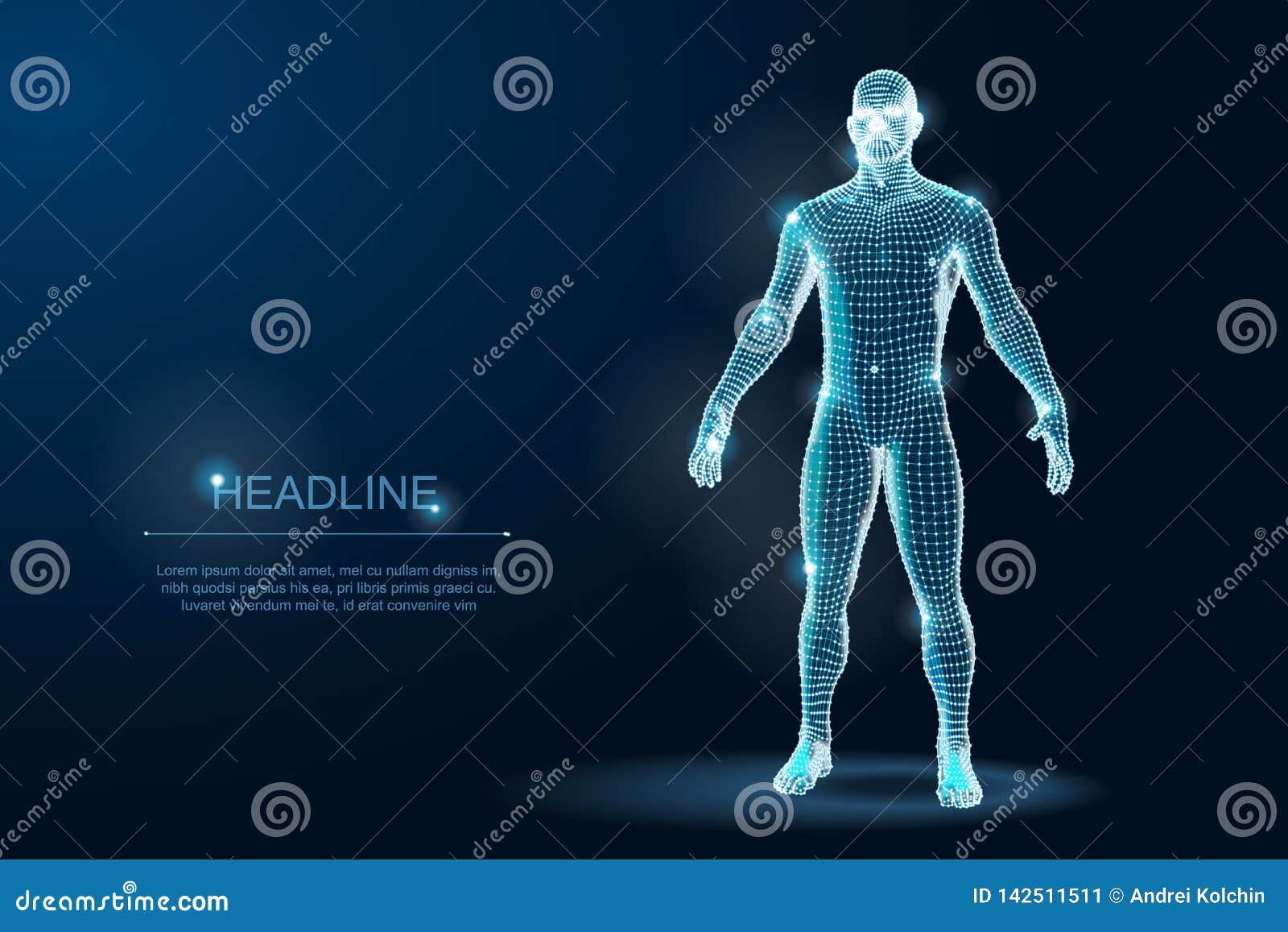 human body 3d polygonal wireframe blueprint.  