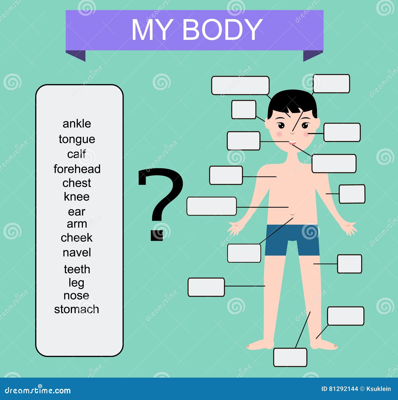 Learn all muscles with quizzes and labeled diagrams | Kenhub