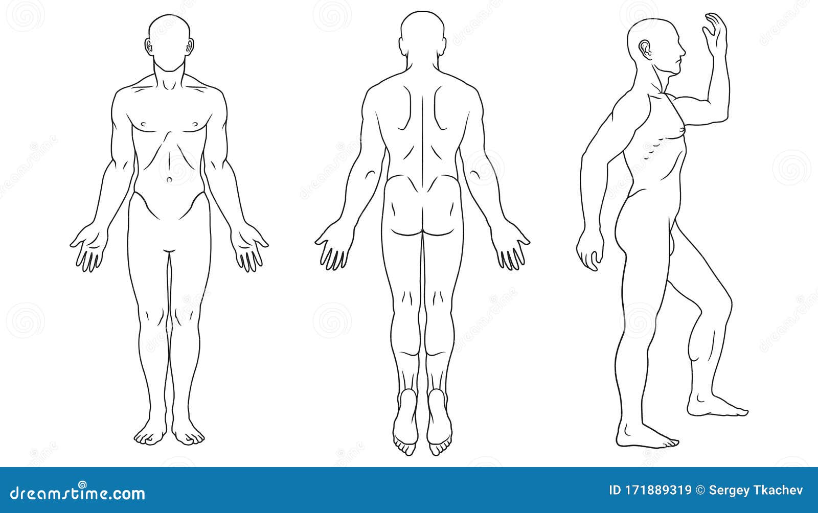 Featured image of post Free Human Body Outline Front And Back