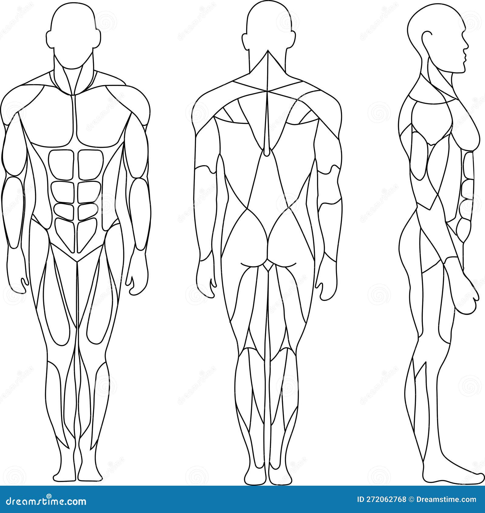 Vector Sketch Illustration Of Silhouette Male Body. Front, Back And Side  View. Illustration Royalty Free SVG, Cliparts, Vectors, And Stock  Illustration. Image 185643731.