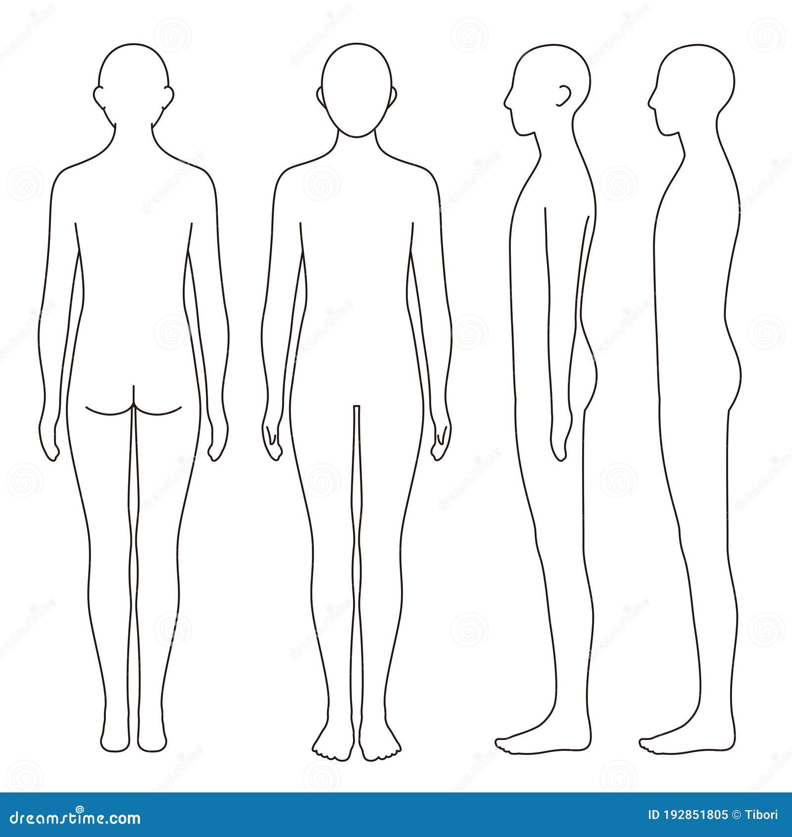 Human Body Outline, Front, Back and Side, Vector File Set Stock Illustration  - Illustration of isolated, arms: 192851805