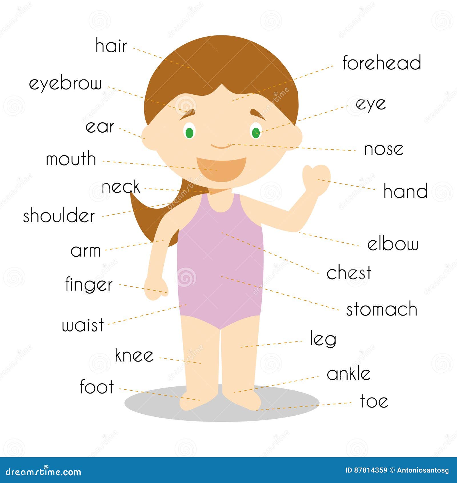 Body Part Parts Cliparts, Stock Vector and Royalty Free Body Part