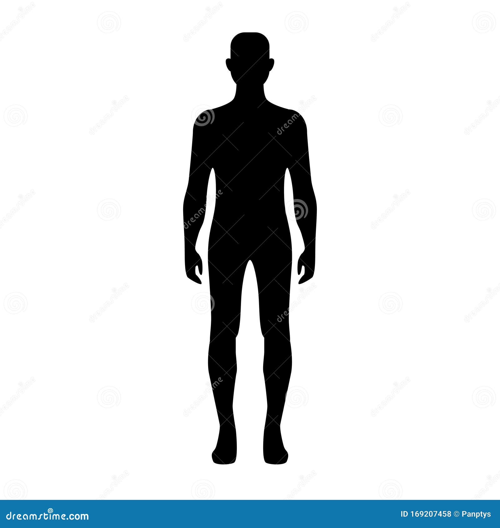 Human Body Shape Vector Art. Stock Vector - Illustration of body, male:  169207458