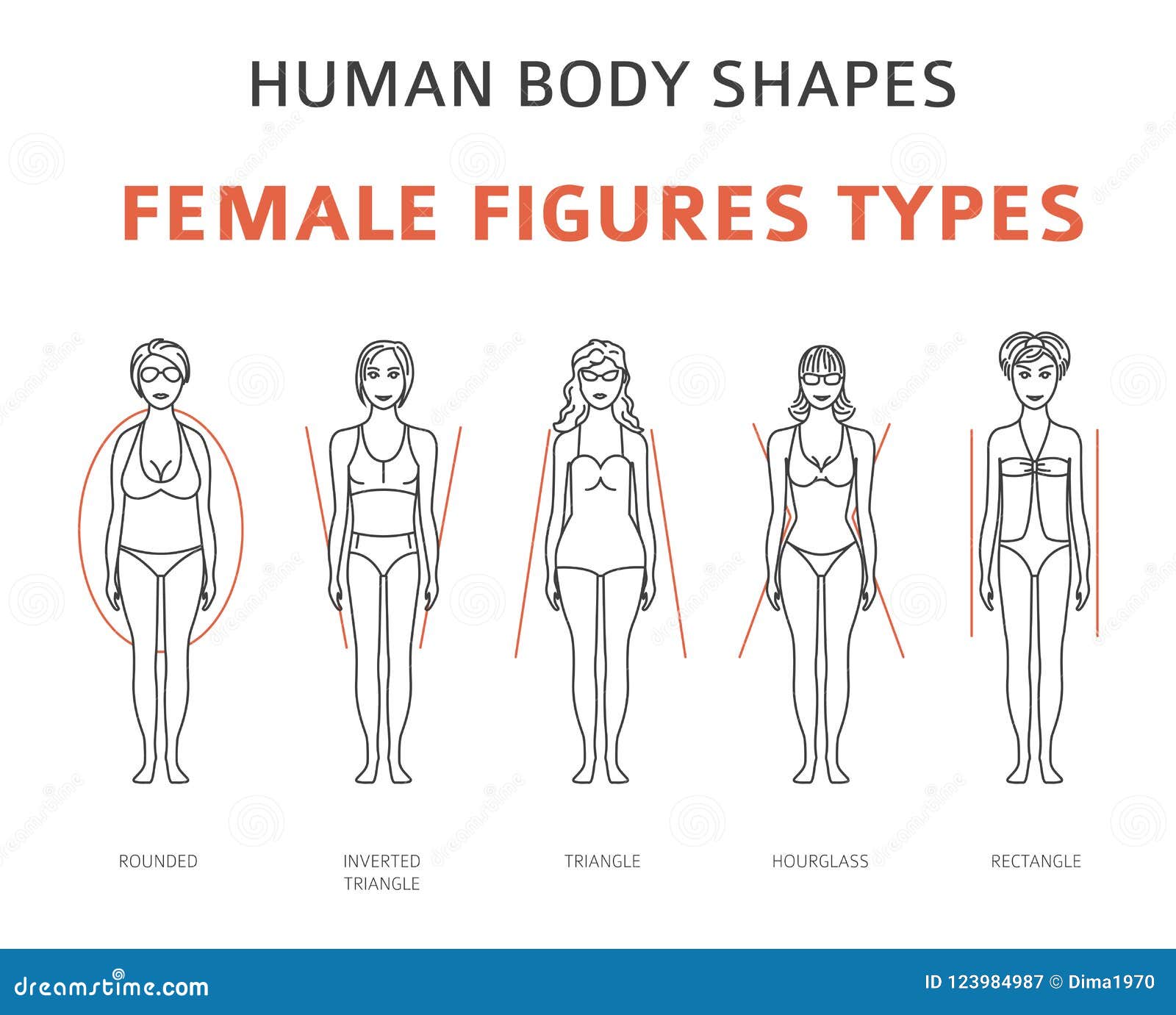 Human types. Схематичное изображение женской фигуры. Женское Телосложение схема. Типы фигур схема. Женские фигуры типы и формы.