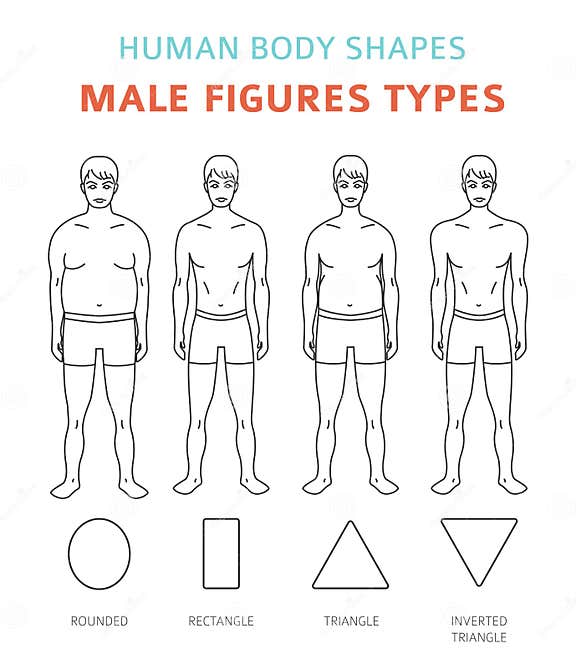 Human Body Shapes. Male Figures Types Set Stock Vector - Illustration ...