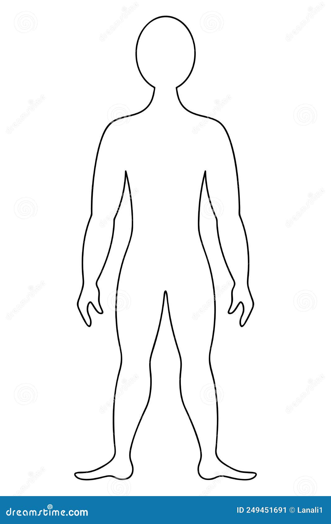 Free Body Diagram, female Body Shape, linear, mannequin, human Back, figure  Drawing, Back, Figures, stomach, hip | Anyrgb