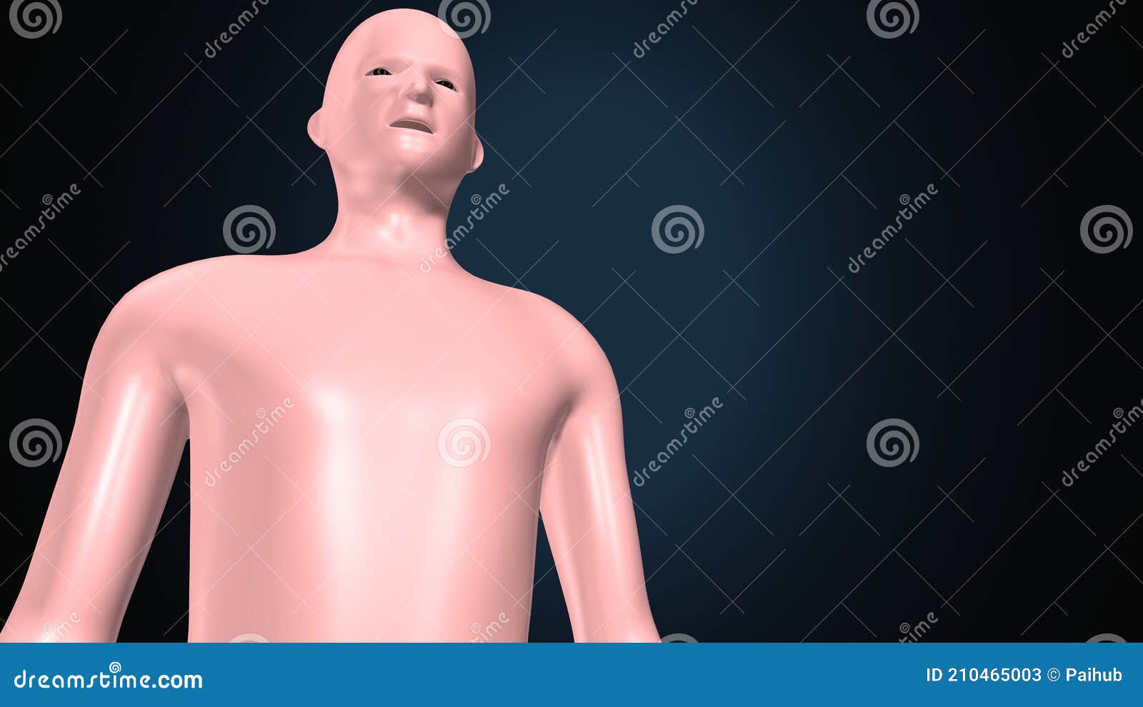 3d Illustration Of A Human Body Shape Anatomy. RoyaltyFree Stock Photo